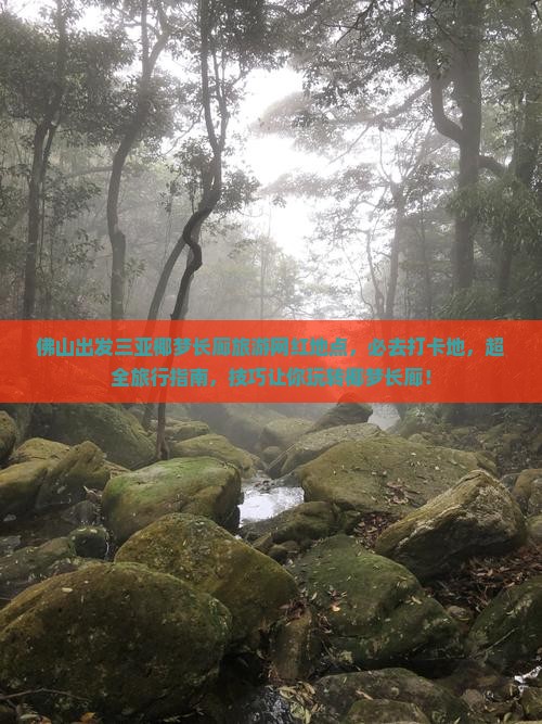 佛山出发三亚椰梦长廊旅游网红地点