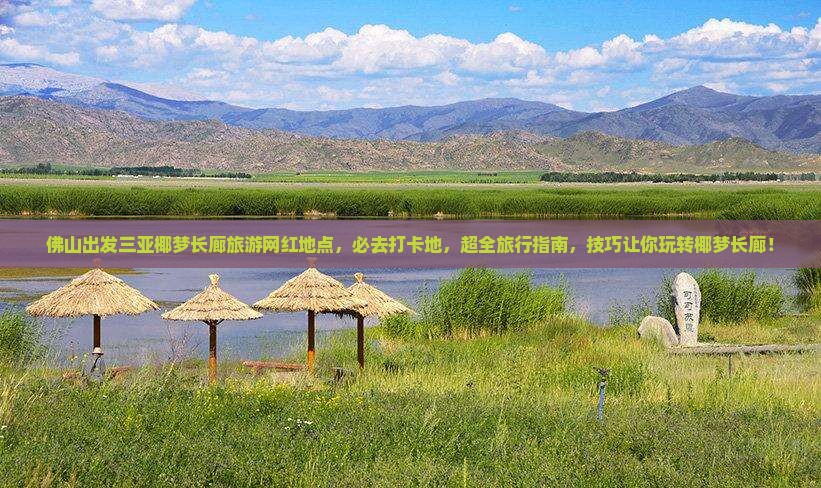 佛山出发三亚椰梦长廊旅游网红地点