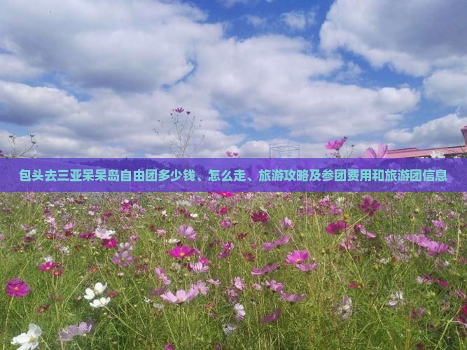 包头去三亚呆呆岛自由团