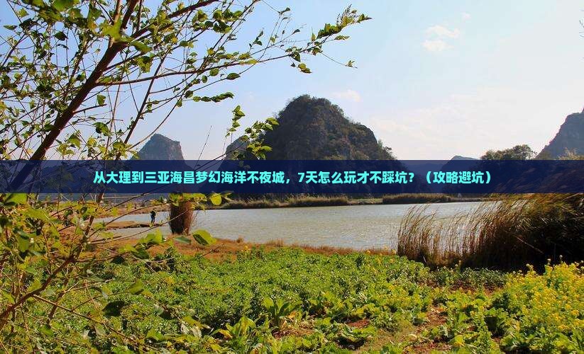 大理前往三亚海昌梦幻海洋不夜城七日游