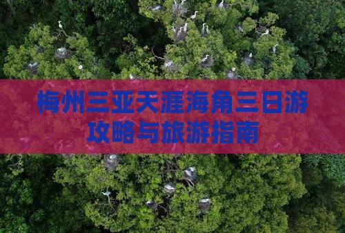 梅州去三亚天涯海角三日游