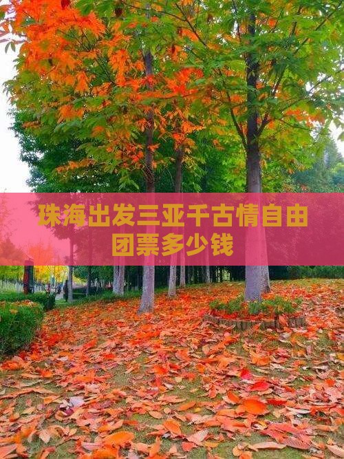 珠海出发三亚千古情自由团