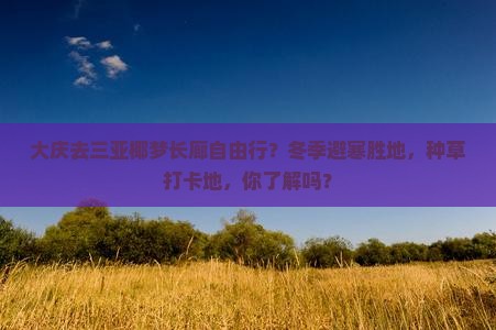 大庆去三亚椰梦长廊自由行