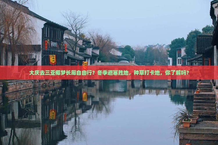 大庆去三亚椰梦长廊自由行