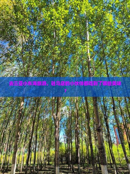 驻马店前往三亚小东海旅游小吃