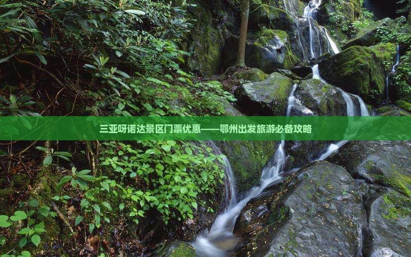 鄂州前往三亚呀诺达景区门票