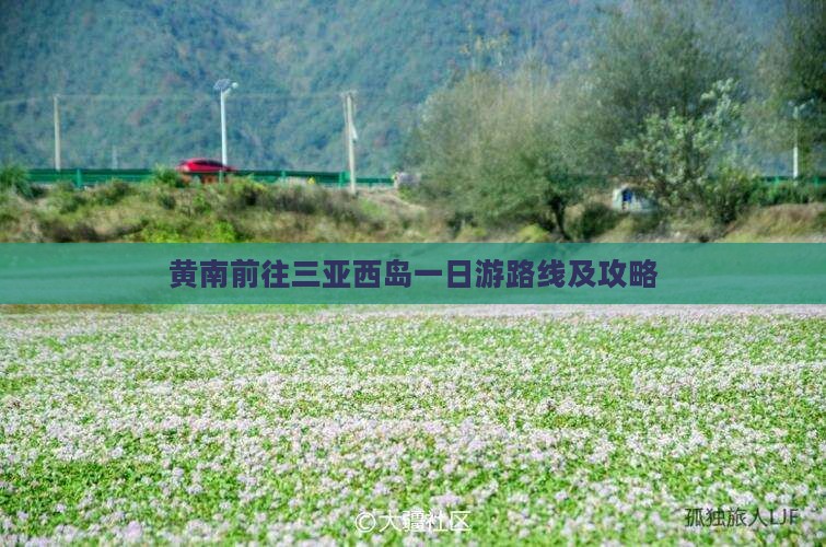 黄南前往三亚西岛一日游