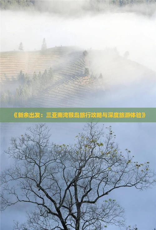 新余出发三亚南湾猴岛旅游