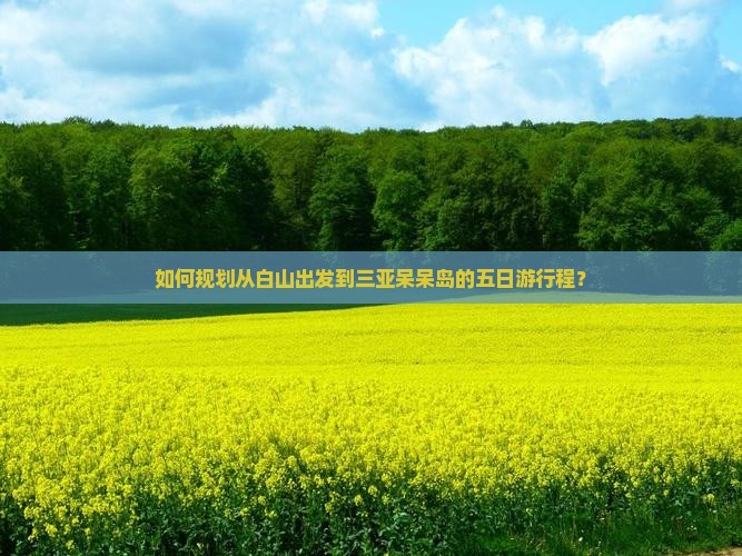 白山前往三亚呆呆岛五日游