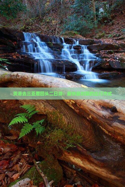 贵港去三亚鹿回头二日游