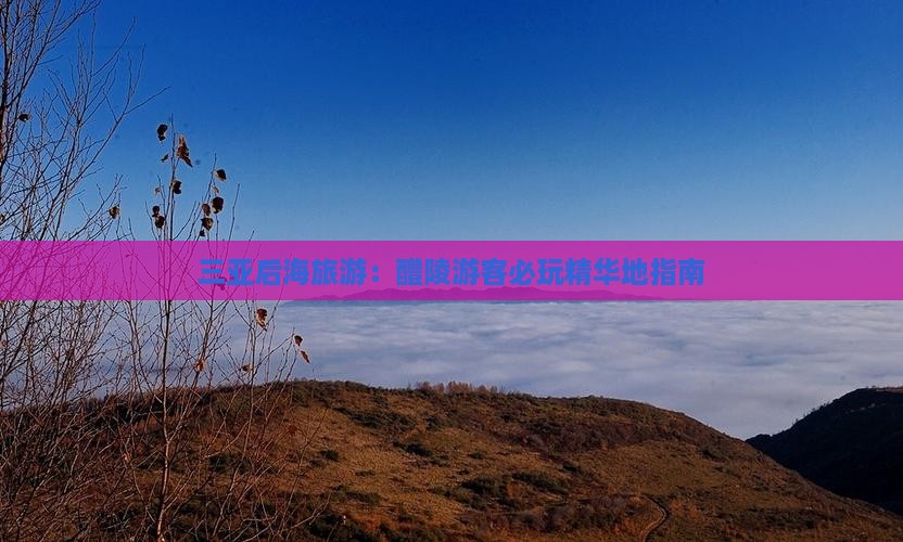 醴陵出发三亚后海必玩地