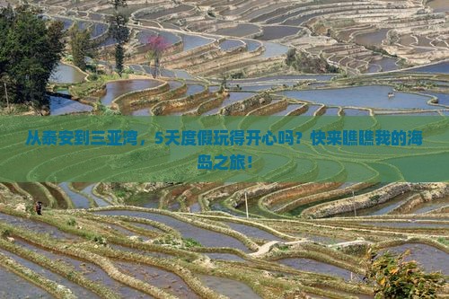 泰安出发三亚三亚湾五日游