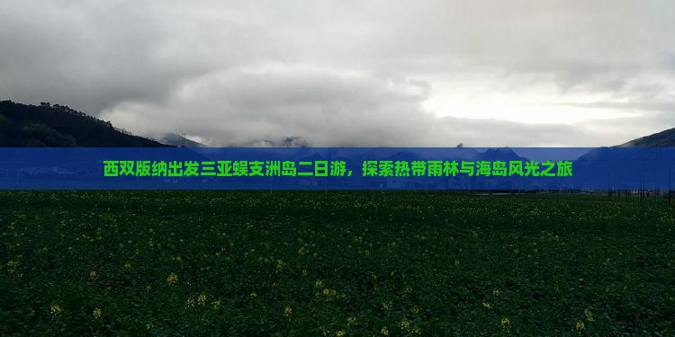 西双版纳出发三亚蜈支洲岛二日游