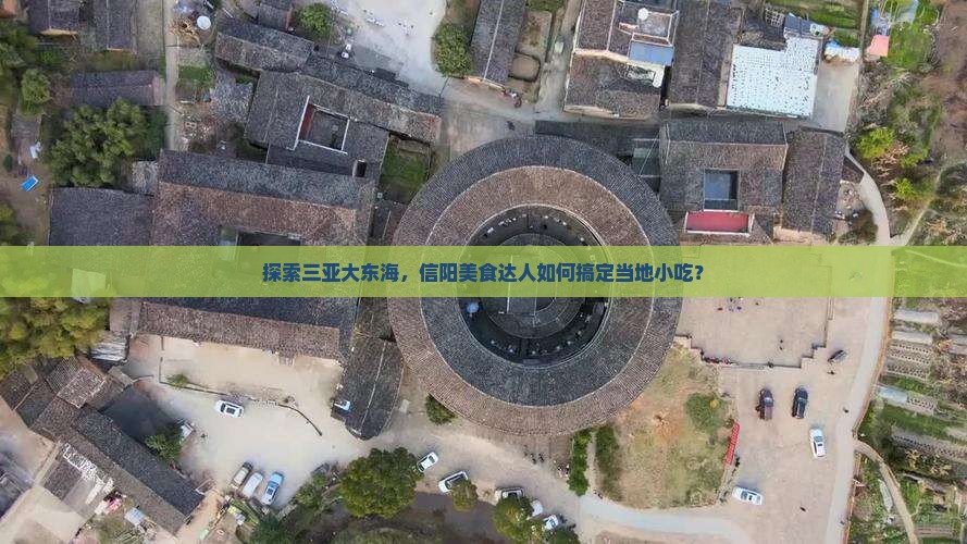 信阳前往三亚大东海旅游小吃