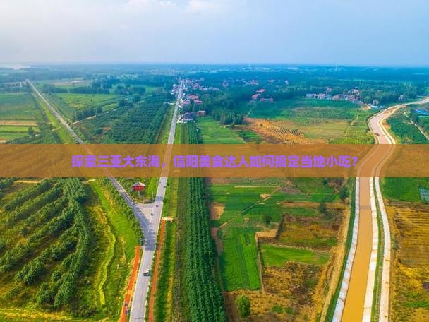 信阳前往三亚大东海旅游小吃