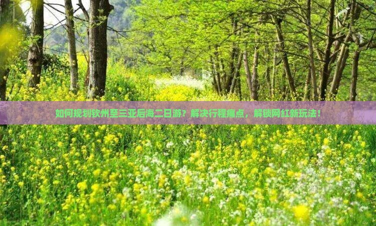 钦州前往三亚后海二日游