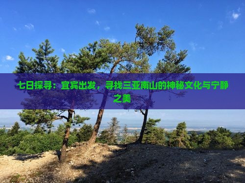 宜宾前往三亚南山文化旅游区七日游