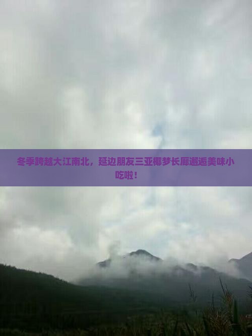 延边去三亚椰梦长廊旅游小吃