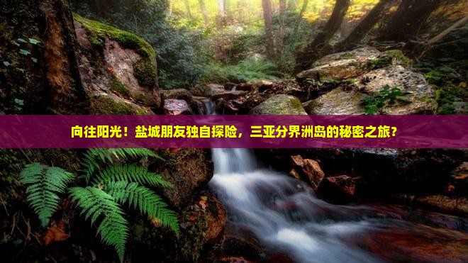 盐城前往三亚分界洲岛个人游