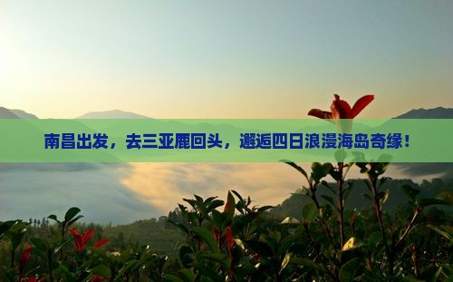南昌前往三亚鹿回头四日游