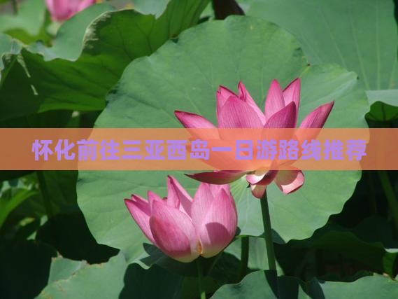 怀化前往三亚西岛一日游