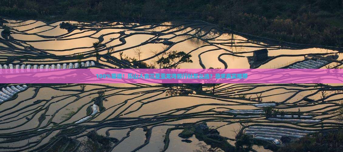 乐山去三亚亚龙湾旅行社