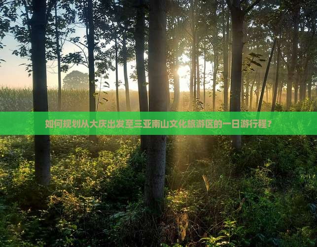 大庆去三亚南山文化旅游区一日游