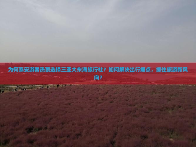 泰安出发三亚大东海旅行社