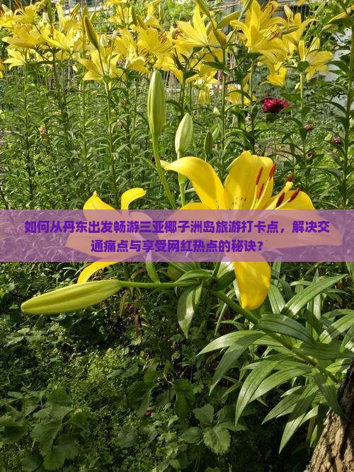 丹东前往三亚椰子洲岛旅游打卡点