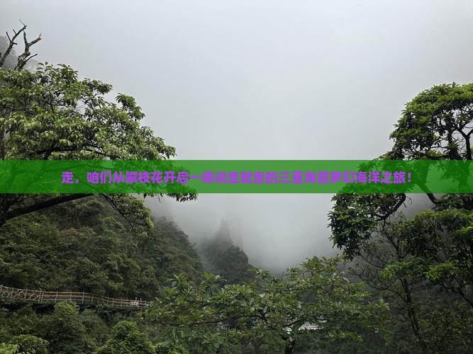 攀枝花去三亚海昌梦幻海洋不夜城自由行