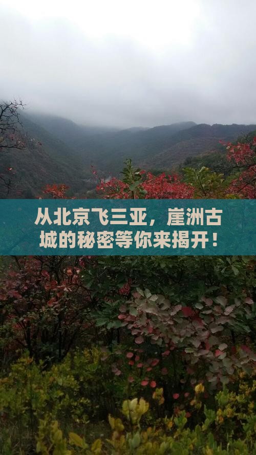 北京去三亚崖洲古城二日游