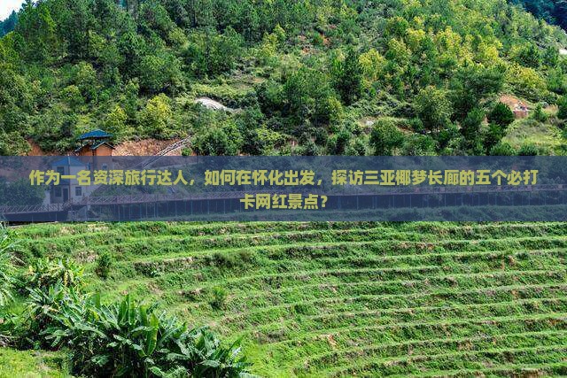 怀化去三亚椰梦长廊旅游网红地点