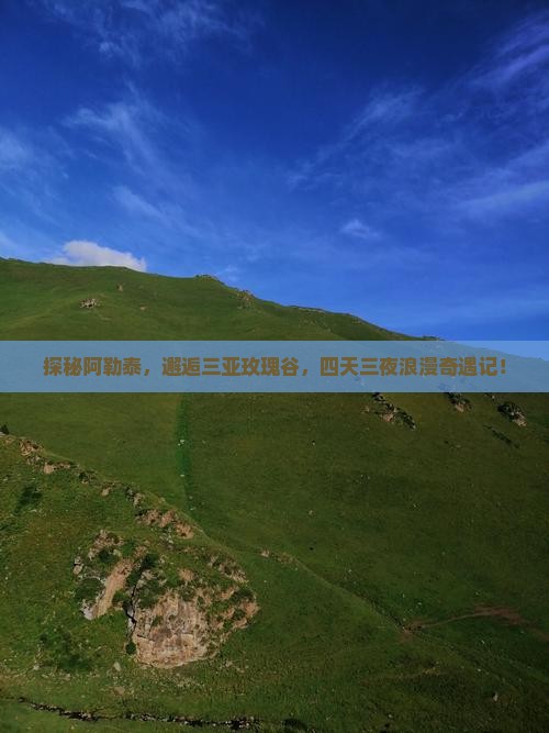 阿勒泰出发三亚亚龙湾国际玫瑰谷四日游