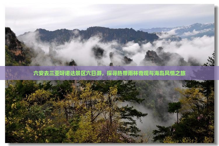 六安去三亚呀诺达景区六日游