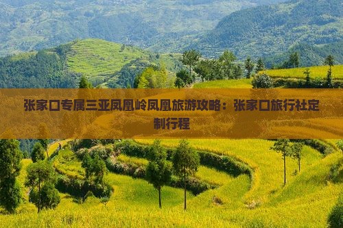 张家口出发三亚凤凰岭公园旅行社
