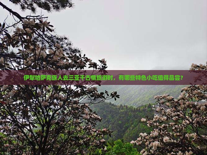 伊犁哈萨克前往三亚千古情旅游小吃
