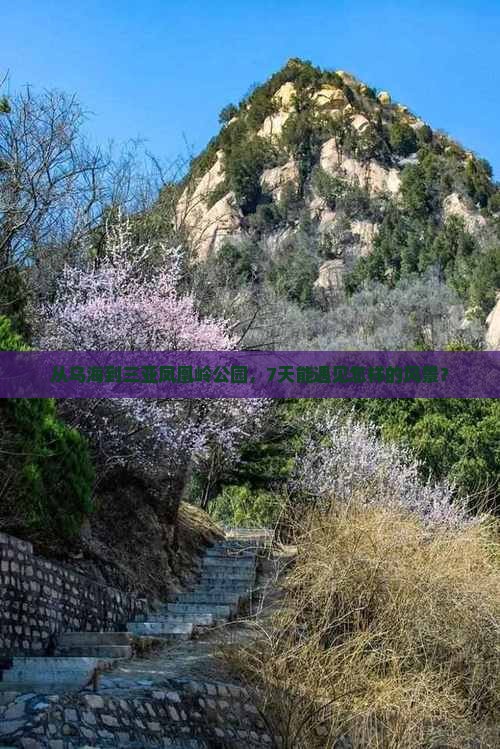 乌海前往三亚凤凰岭公园七日游