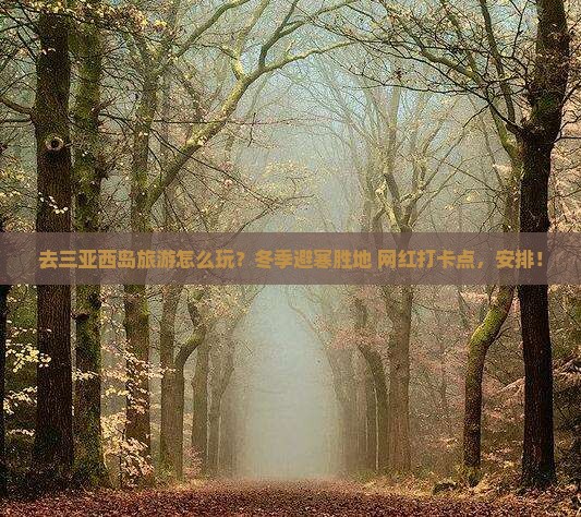 阜新出发三亚西岛旅游打卡点
