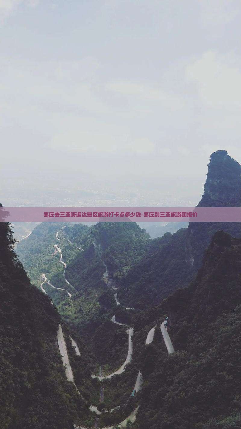 枣庄去三亚呀诺达景区旅游打卡点