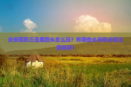 安阳去三亚鹿回头哪里玩