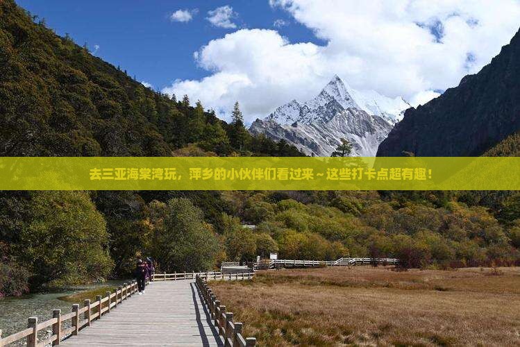 萍乡前往三亚海棠湾旅游打卡点