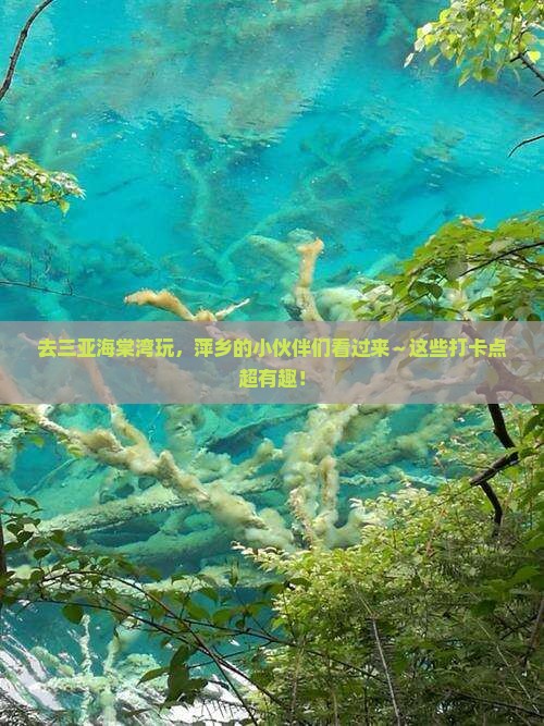 萍乡前往三亚海棠湾旅游打卡点