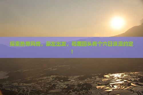 崇左前往三亚鹿回头六日游