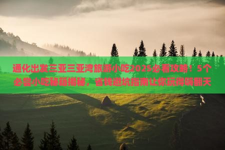 通化出发三亚三亚湾旅游小吃 通化出发三亚三亚湾旅游小吃