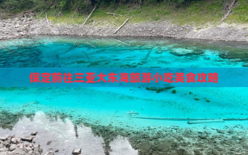 保定前往三亚大东海旅游小吃