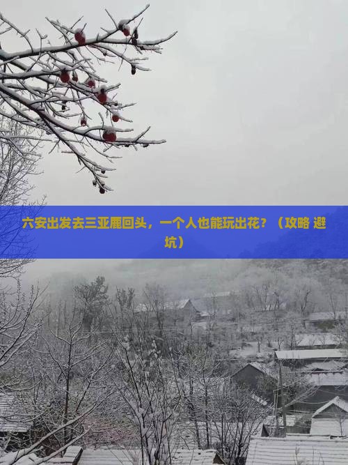 六安去三亚鹿回头个人游