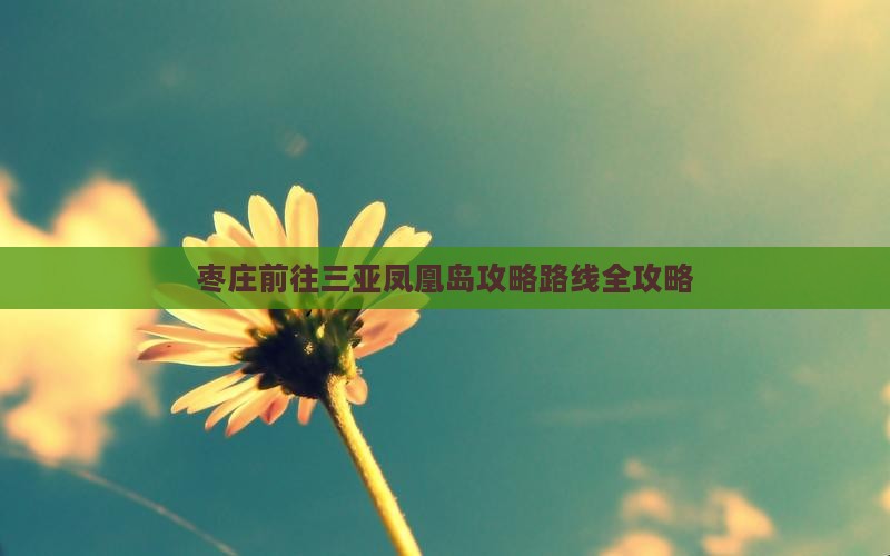 枣庄前往三亚凤凰岛攻略