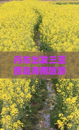 丹东前往三亚西岛团体旅游