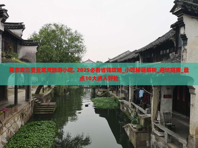 吴忠去三亚亚龙湾旅游小吃