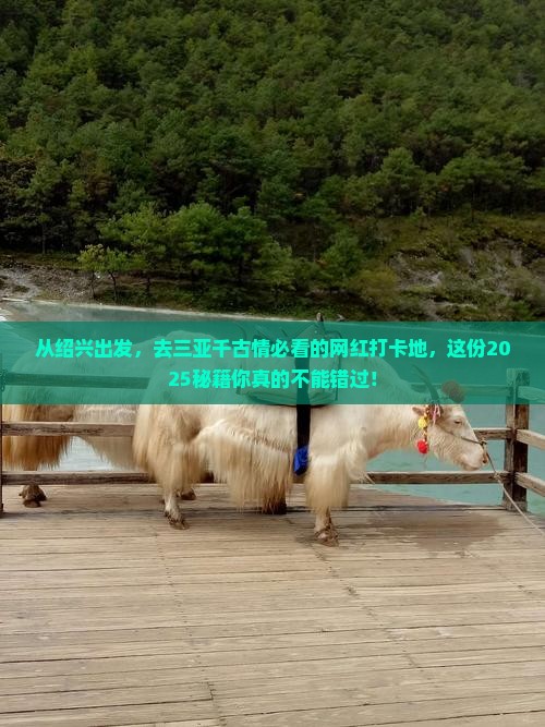 绍兴出发三亚千古情旅游网红地点